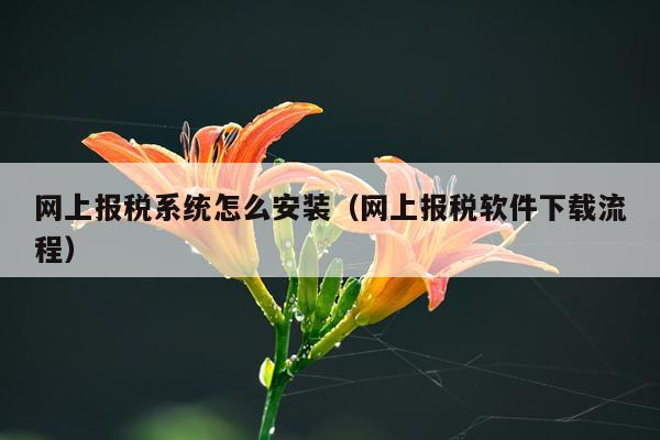网上报税系统怎么安装（网上报税软件下载流程）