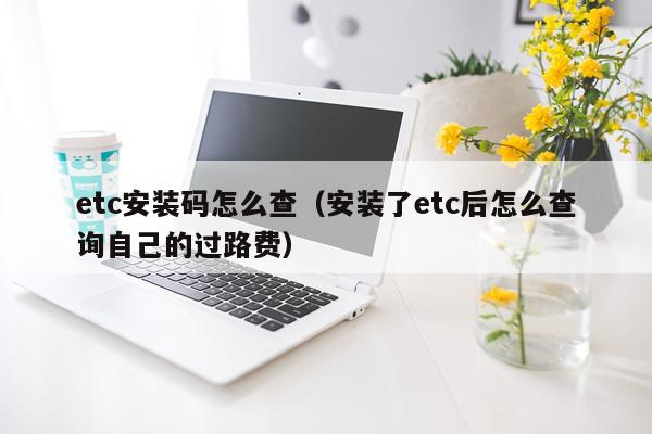 etc安装码怎么查（安装了etc后怎么查询自己的过路费）