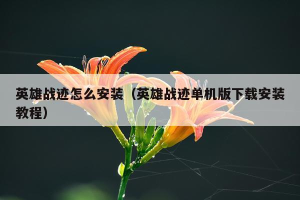 英雄战迹怎么安装（英雄战迹单机版下载安装教程）
