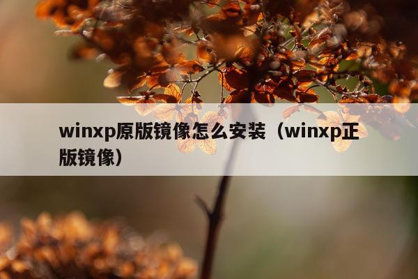 winxp原版镜像怎么安装（winxp正版镜像）