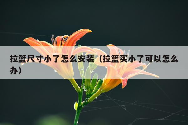 拉篮尺寸小了怎么安装（拉篮买小了可以怎么办）