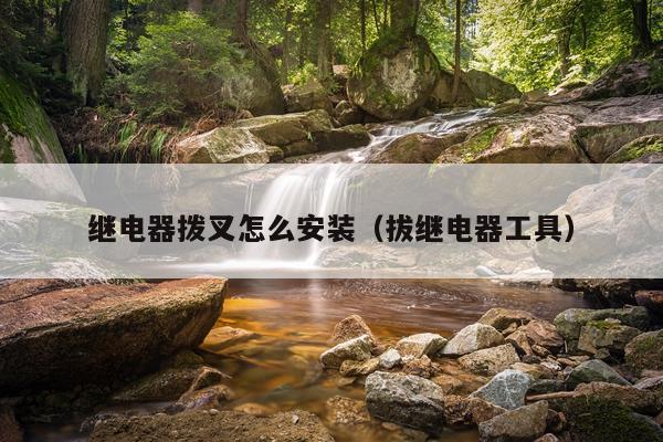 继电器拨叉怎么安装（拔继电器工具）