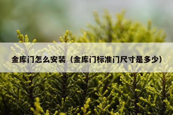 金库门怎么安装（金库门标准门尺寸是多少）