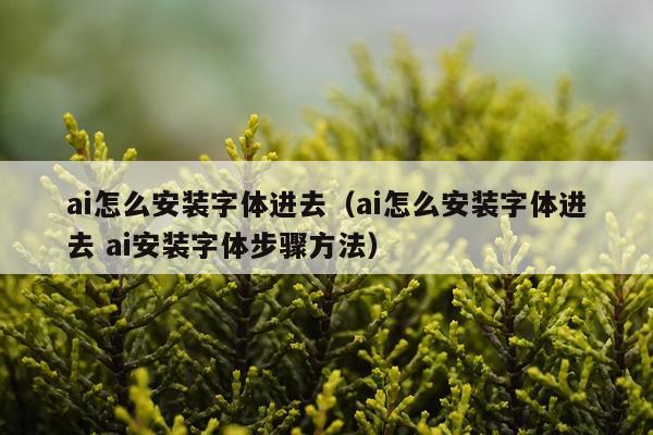 ai怎么安装字体进去（ai怎么安装字体进去 ai安装字体步骤方法）