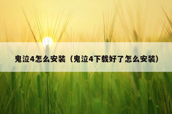 鬼泣4怎么安装（鬼泣4下载好了怎么安装）