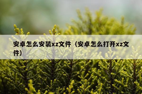 安卓怎么安装xz文件（安卓怎么打开xz文件）