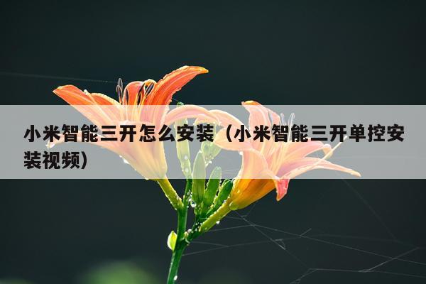 小米智能三开怎么安装（小米智能三开单控安装视频）