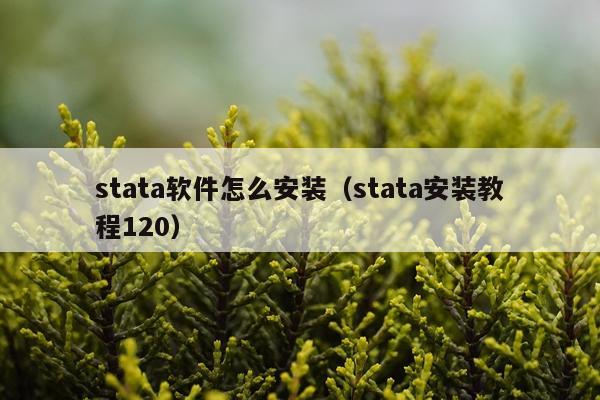 stata软件怎么安装（stata安装教程120）