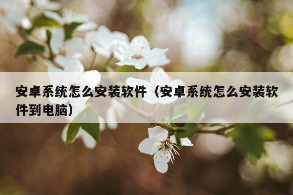 安卓系统怎么安装软件（安卓系统怎么安装软件到电脑）