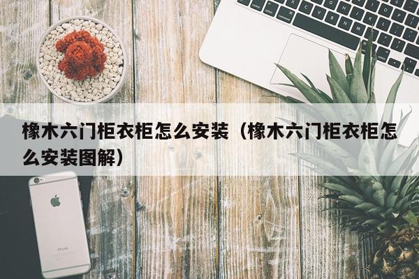 橡木六门柜衣柜怎么安装（橡木六门柜衣柜怎么安装图解）