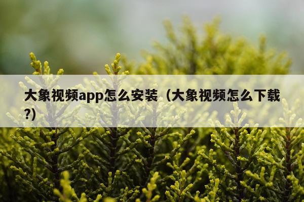大象视频app怎么安装（大象视频怎么下载?）