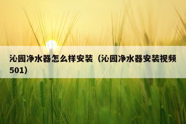 沁园净水器怎么样安装（沁园净水器安装视频501）