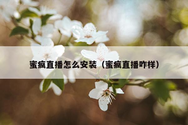 蜜疯直播怎么安装（蜜疯直播咋样）