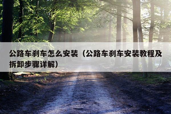 公路车刹车怎么安装（公路车刹车安装教程及拆卸步骤详解）