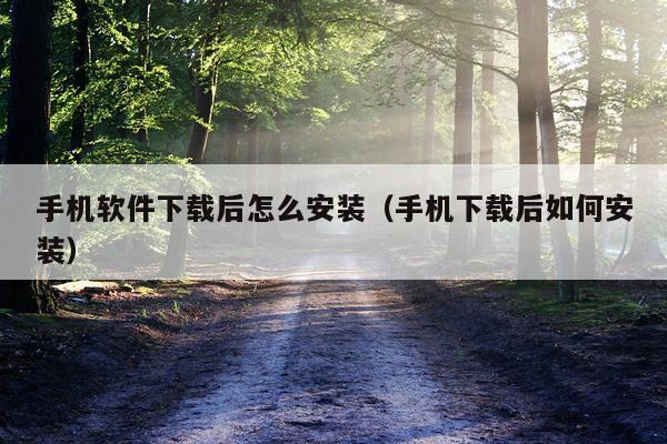 手机软件下载后怎么安装（手机下载后如何安装）