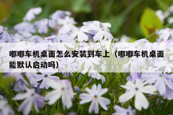 嘟嘟车机桌面怎么安装到车上（嘟嘟车机桌面能默认启动吗）