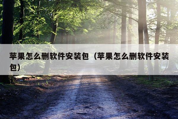 苹果怎么删软件安装包（苹果怎么删软件安装包）
