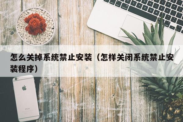 怎么关掉系统禁止安装（怎样关闭系统禁止安装程序）
