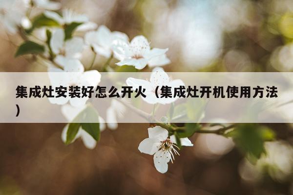 集成灶安装好怎么开火（集成灶开机使用方法）