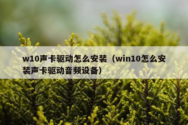 w10声卡驱动怎么安装（win10怎么安装声卡驱动音频设备）