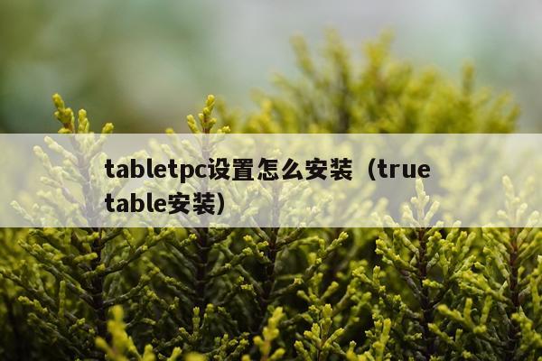 tabletpc设置怎么安装（true table安装）