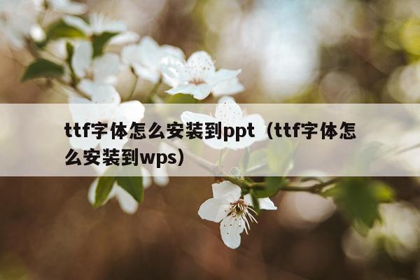 ttf字体怎么安装到ppt（ttf字体怎么安装到wps）