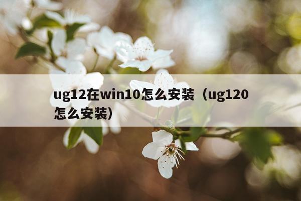 ug12在win10怎么安装（ug120怎么安装）