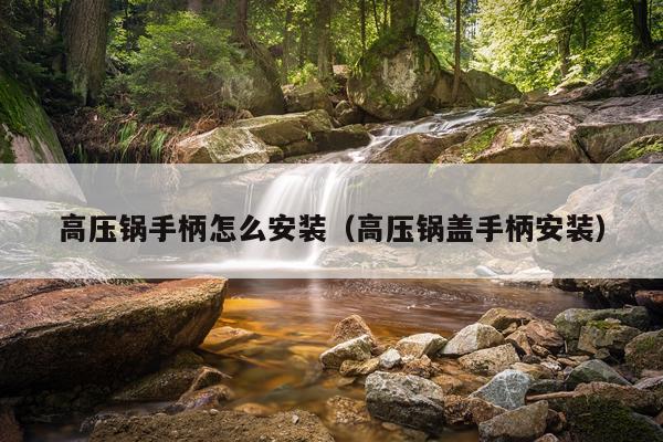 高压锅手柄怎么安装（高压锅盖手柄安装）