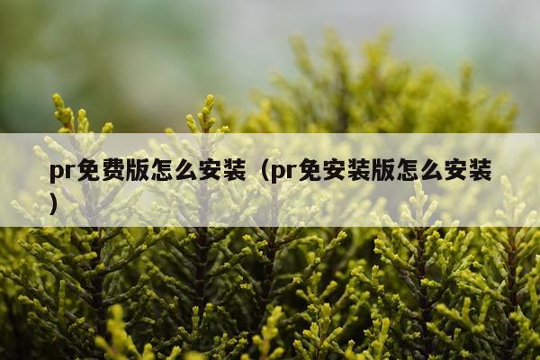 pr免费版怎么安装（pr免安装版怎么安装）