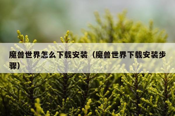 魔兽世界怎么下载安装（魔兽世界下载安装步骤）