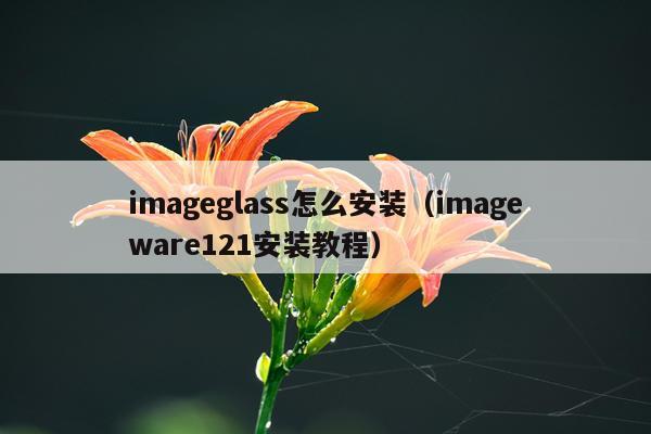 imageglass怎么安装（imageware121安装教程）
