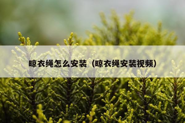 晾衣绳怎么安装（晾衣绳安装视频）