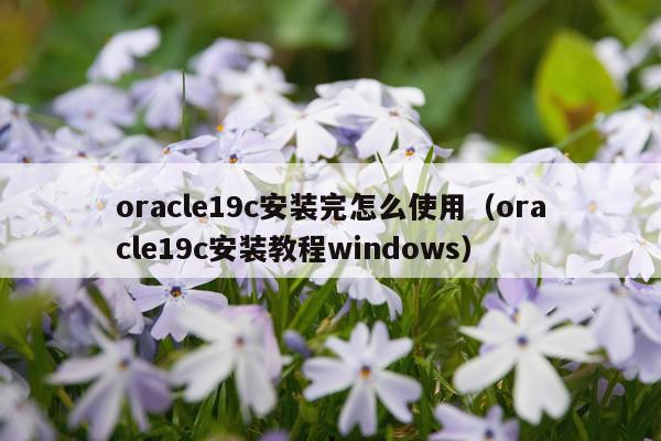 oracle19c安装完怎么使用（oracle19c安装教程windows）