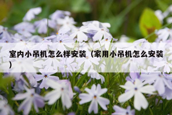 室内小吊机怎么样安装（家用小吊机怎么安装）