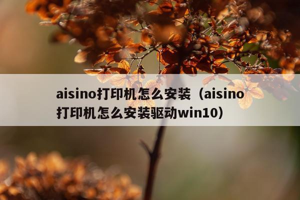 aisino打印机怎么安装（aisino打印机怎么安装驱动win10）