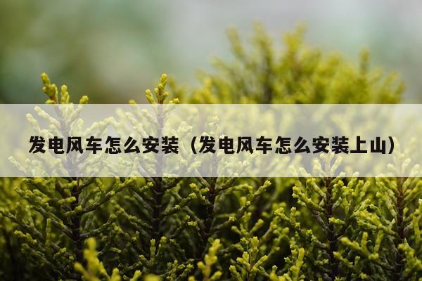 发电风车怎么安装（发电风车怎么安装上山）