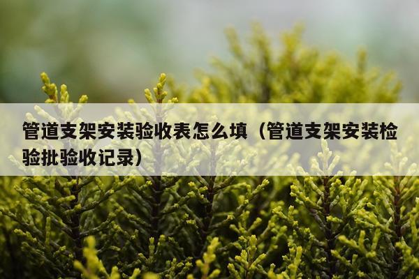 管道支架安装验收表怎么填（管道支架安装检验批验收记录）