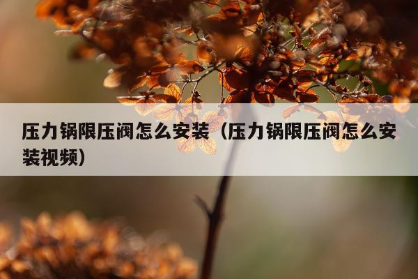 压力锅限压阀怎么安装（压力锅限压阀怎么安装视频）