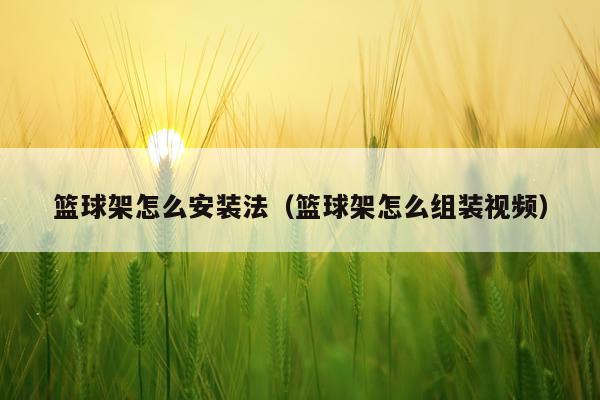 篮球架怎么安装法（篮球架怎么组装视频）