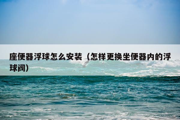 座便器浮球怎么安装（怎样更换坐便器内的浮球阀）