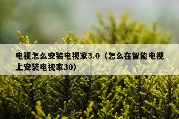 电视怎么安装电视家3.0（怎么在智能电视上安装电视家30）