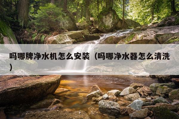 吗哪牌净水机怎么安装（吗哪净水器怎么清洗）