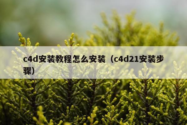 c4d安装教程怎么安装（c4d21安装步骤）