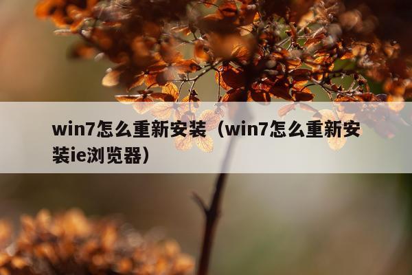 win7怎么重新安装（win7怎么重新安装ie浏览器）
