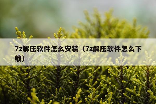 7z解压软件怎么安装（7z解压软件怎么下载）