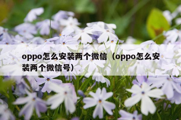 oppo怎么安装两个微信（oppo怎么安装两个微信号）
