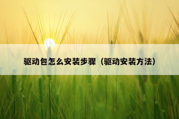 驱动包怎么安装步骤（驱动安装方法）
