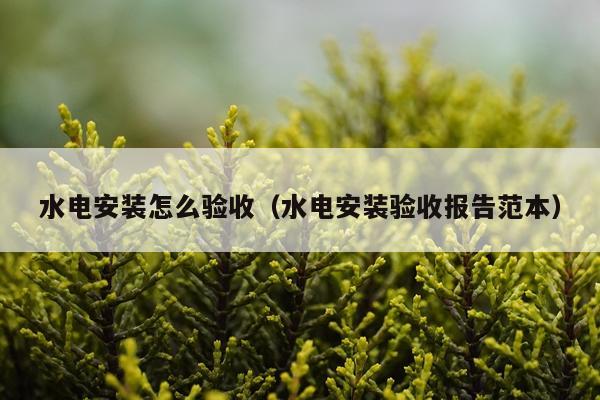 水电安装怎么验收（水电安装验收报告范本）