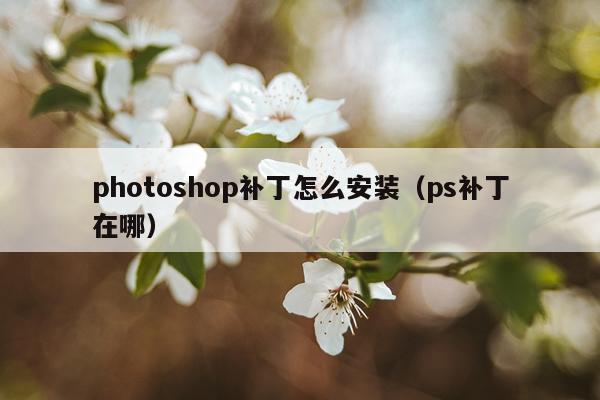 photoshop补丁怎么安装（ps补丁在哪）