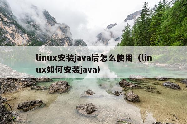 linux安装java后怎么使用（linux如何安装java）